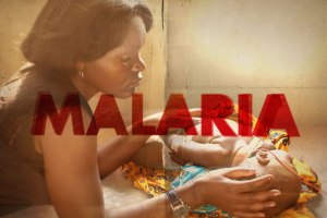 Imagine No Malaria - What Is Malaria