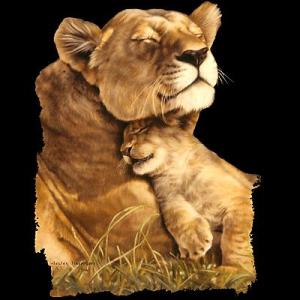 Contented Lions